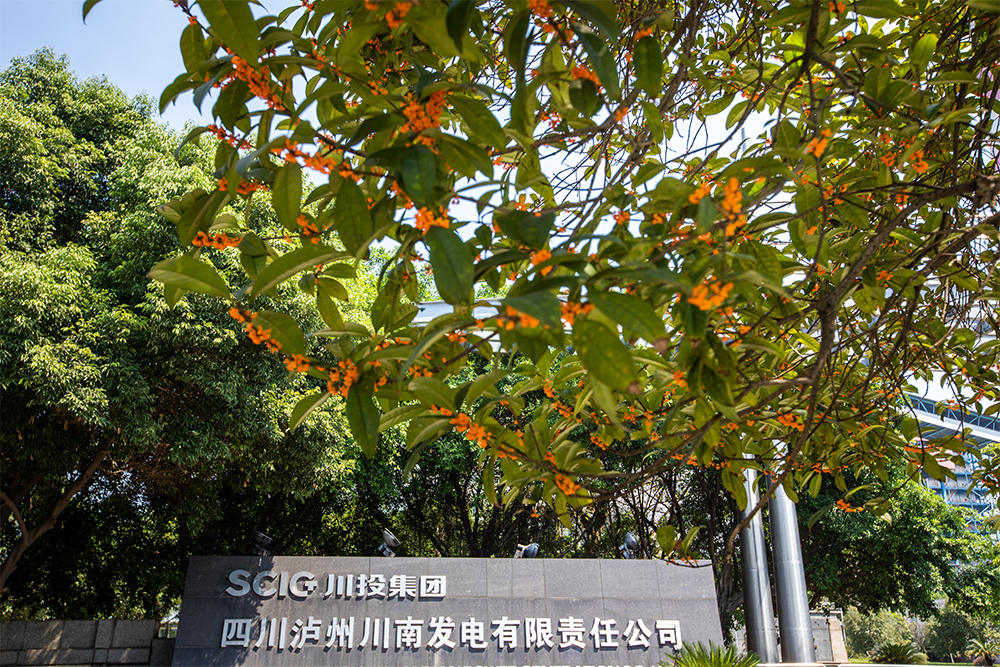 ����늏S�B(y��ng)�o